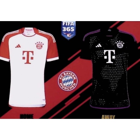 Equipaciones Bayern Munich 229