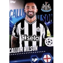 Callum Wilson Newcastle United 348