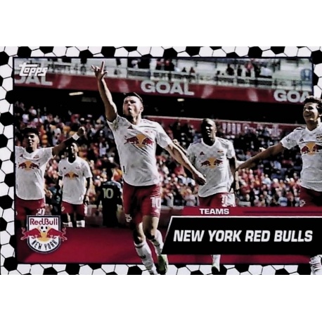 Team Card Soccer Tile Parallel New York Red Bulls 22