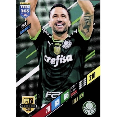 Luan Palmeiras PAL 8