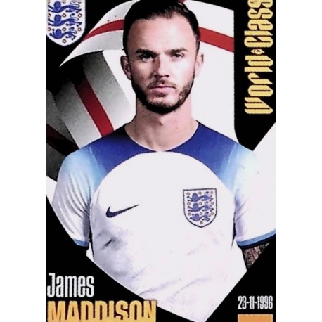 James Maddison Inglaterra 282