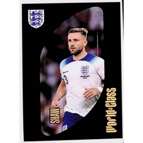 Luke Shaw Alineación Inglaterra 301