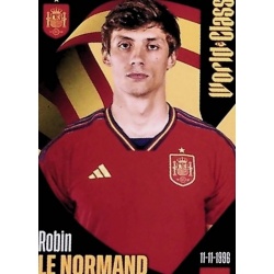 Robin le Normand España 311