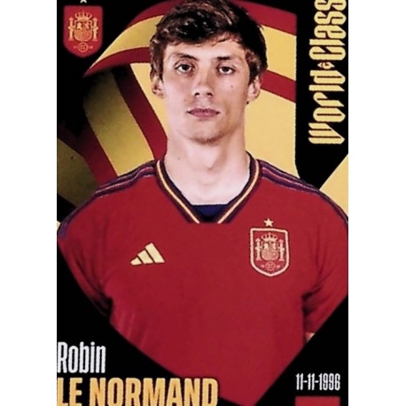 Robin le Normand España 311