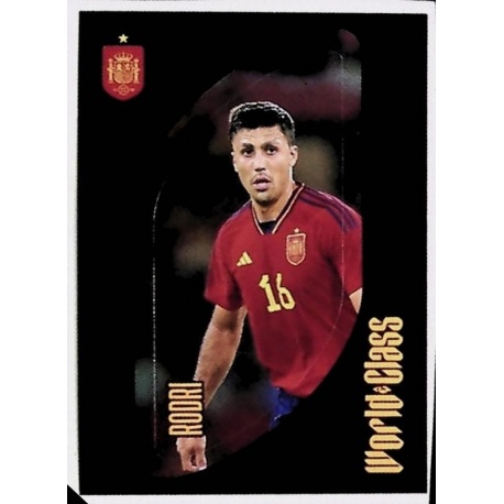 Rodri Alineación España 342