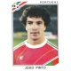 Joao Pinto Portugal 385