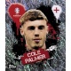 Cole Palmer Artist Inglaterra ENG 3