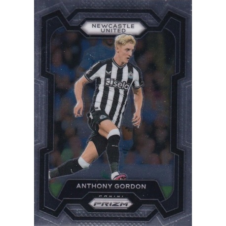 Anthony rdon Newcastle United 62