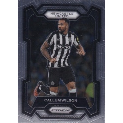 Callum Wilson Newcastle United 70