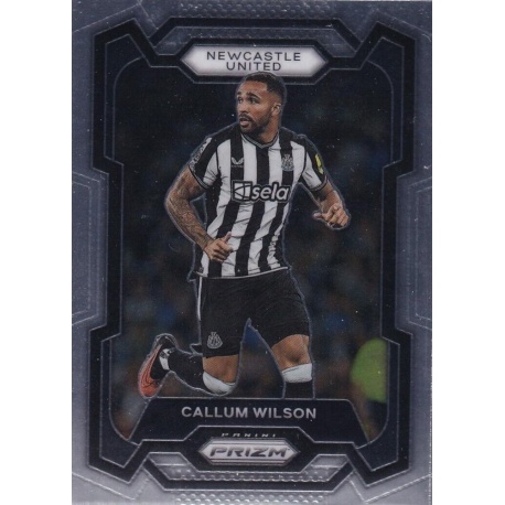 Callum Wilson Newcastle United 70