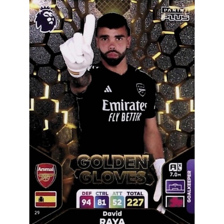 David Raya Golden Gloves Arsenal 29