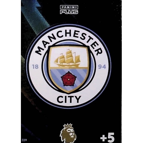 Club Badge Manchester City 229