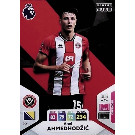 Anel Ahmedhodžić Sheffield United 306