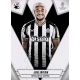 Joelinton Newcastle United 103