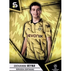 Giovanni Reyna Common Borussia Dortmund 29