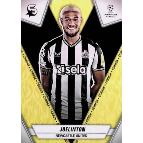 Joelinton Common Newcastle United 103