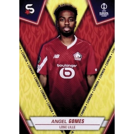 Angel Gomes Common Lille 175