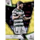 Huynjun Yang Action Common Celtic 41