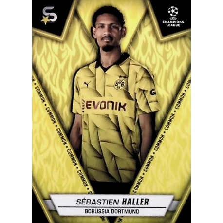 Sebastien Haller Common Borussia Dortmund 30