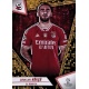 Orkun Kokcu Golden Pixel Benfica 149