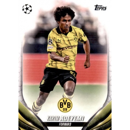 Karim Adeyemi Borussia Dortmund 73