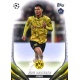 Paris Brunner Image Variations Borussia Dortmund 44