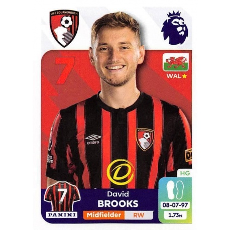 David Brooks AFC Bournemouth 33