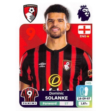 Dominic Solanke AFC Bournemouth 41