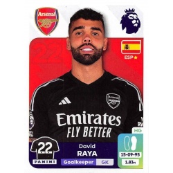 David Raya Arsenal 54