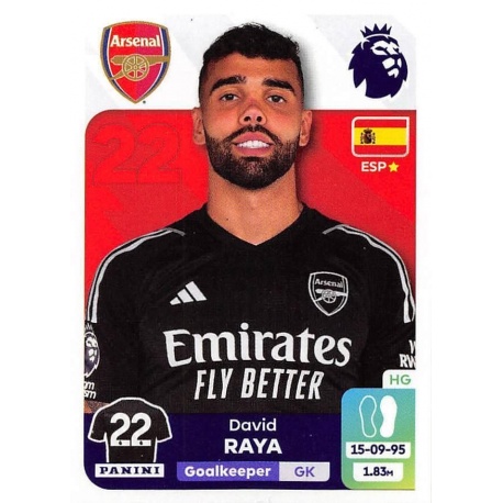 David Raya Arsenal 54