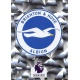 Club Badge Brighton & Hove Albion 139