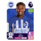 Igor Julio Brighton & Hove Albion 142