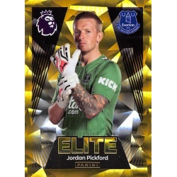 Jordan Pickford Elite Everton 277