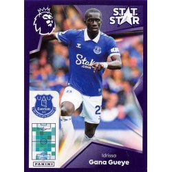 Idrissa Gana Gueye Stat Star Everton 282