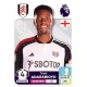 Tosin Adarabioyo Fulham 289