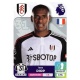 Issa Diop Fulham 292