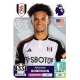 Antonee Robinson Fulham 293