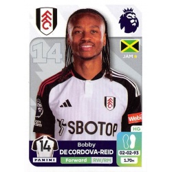 Bobby De Cordova-Reid Fulham 303