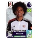 Willian Fulham 304