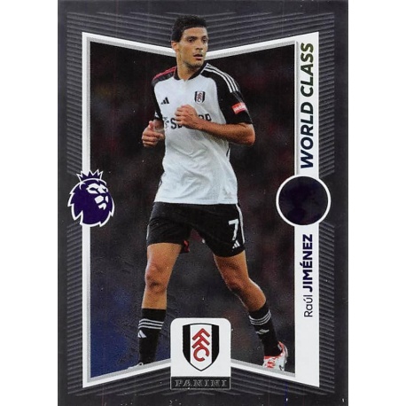 Raul Jimenez World Class Fulham 324