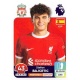 Stefan Bajcetic Liverpool 363