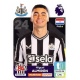 Miguel Almiron Newcastle United 477