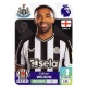 Callum Wilson Newcastle United 482