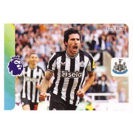 Newcastle United 5-1 Aston Villa Magic Moment 487