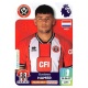 Gustavo Hamer Sheffield United 533