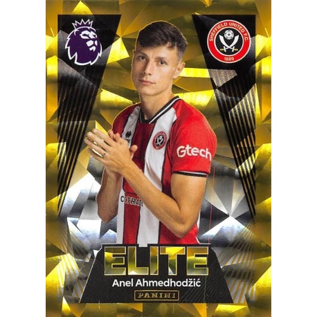 Anel Ahmedhodzic Elite Sheffield United 543