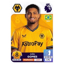 Joao Gomes Wolverhampton Wanderers 621