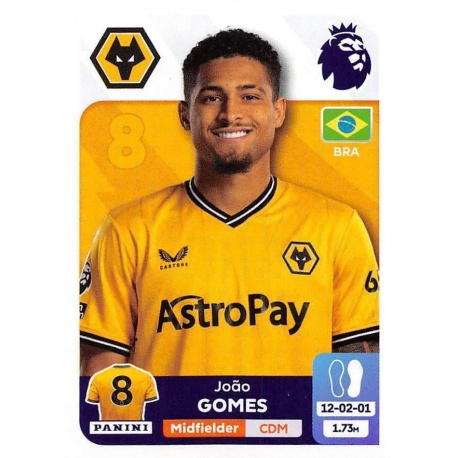 Joao Gomes Wolverhampton Wanderers 621