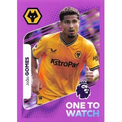 João Gomes One To Watch Wolverhampton Wanderers 633