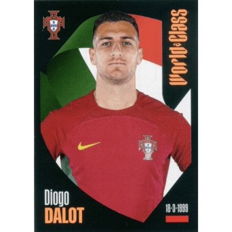 Diogo Dalot Portugal P3